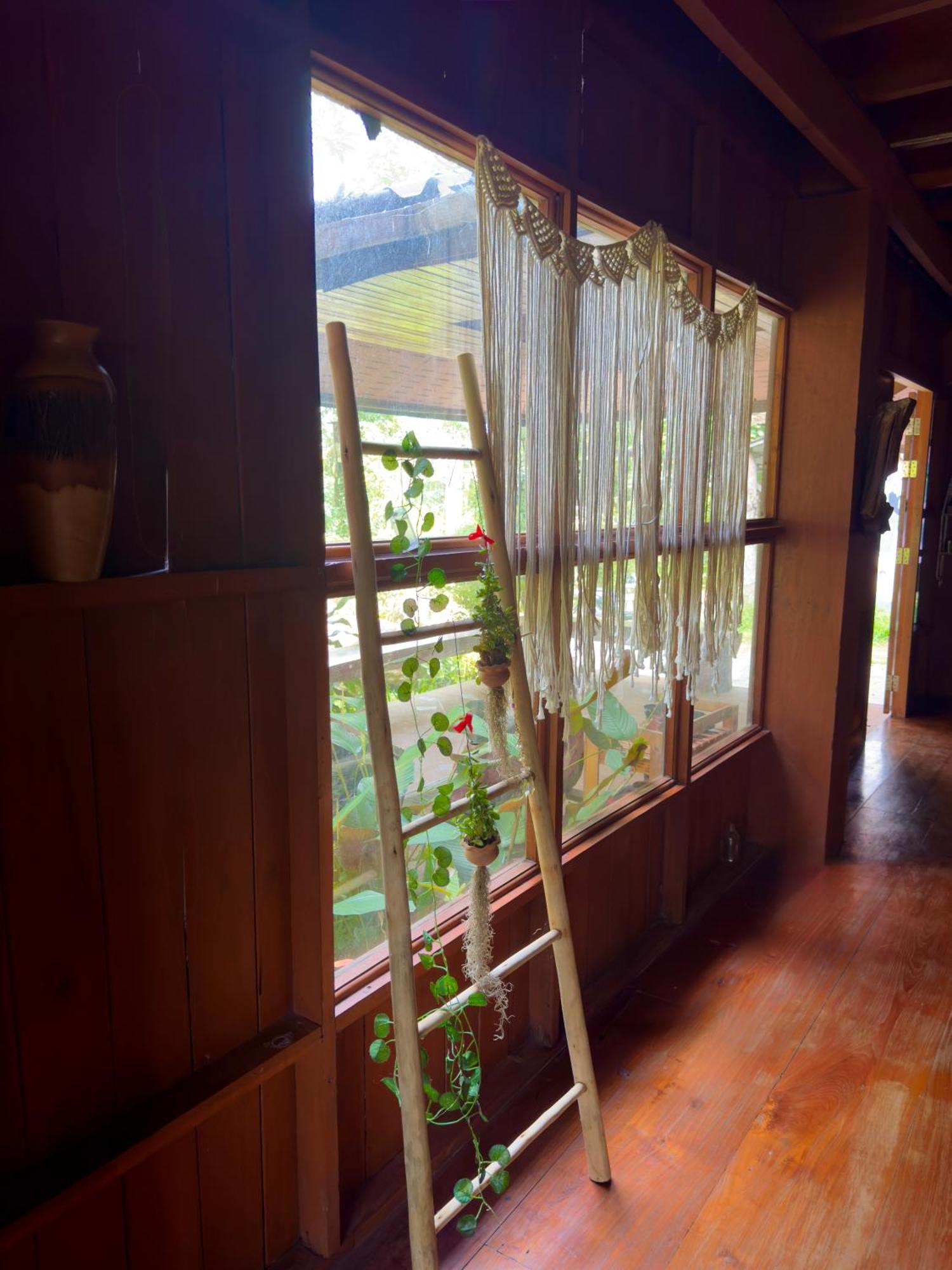 Shaya Homestay & Dorms Пай Екстериор снимка